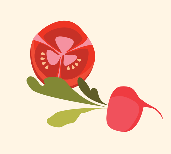 illustration of a radish